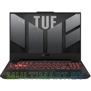 Игровой ноутбук ASUS TUF Gaming A15 FA507UI-LP181 (90NR0I65-M008K0)